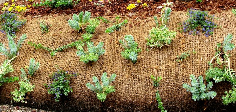 Erosion Prevention Measures