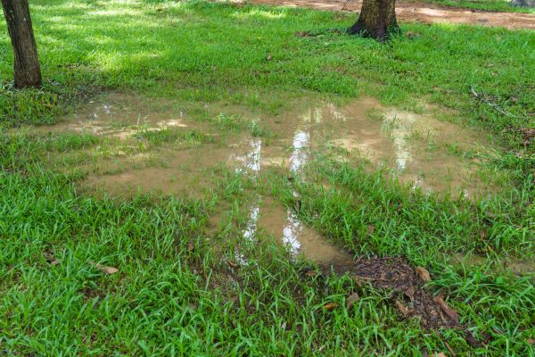 Cost of Storm Water Drainage Service in Dunedin