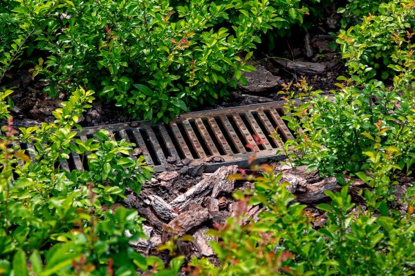 Cost of Underground Drainage Service in Dunedin