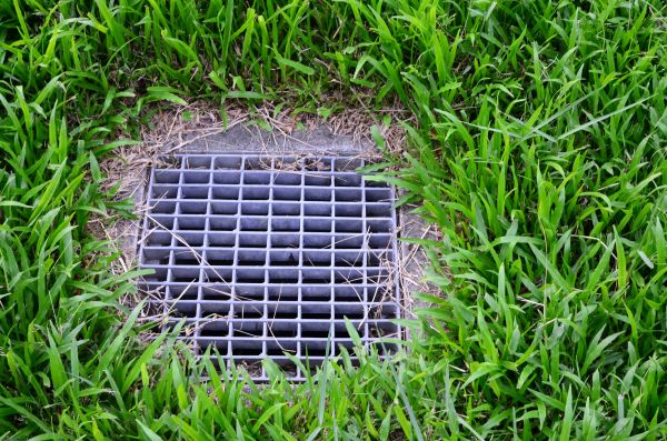 Cost of Yard Water Drainage in Dunedin