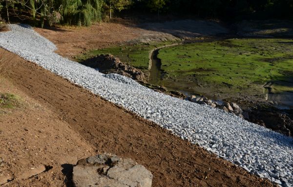 Cost of Landscape Swales Installation in Dunedin