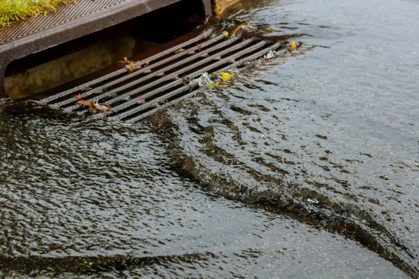 Cost of Storm Drainage Service in Dunedin