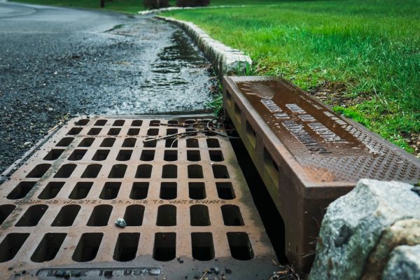 Cost of Rainwater Diversion in Dunedin