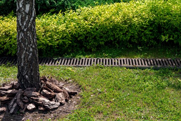 Cost of Wet Yard Drainage in Dunedin