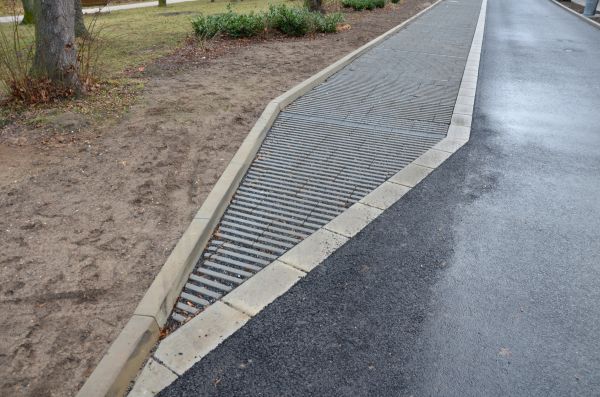Cost of Muddy Yard Drainage in Dunedin
