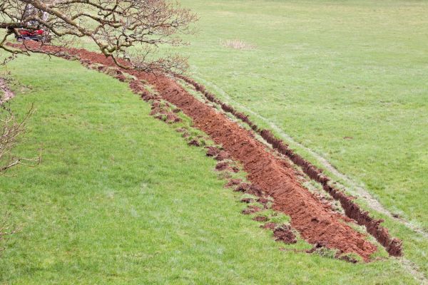 Cost of Swale Installation in Dunedin