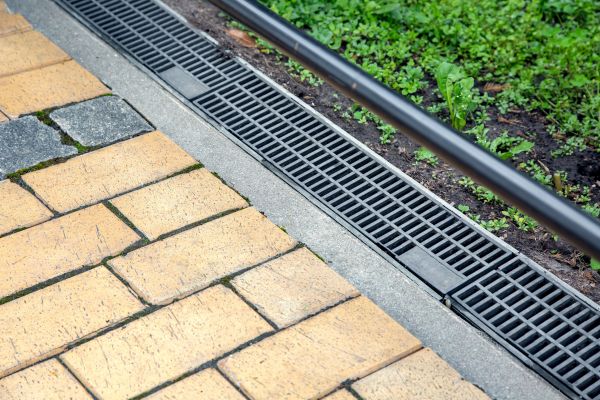 Cost of Waterlogged Yard Repair in Dunedin