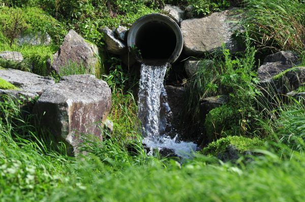 Cost of Water Redirection in Dunedin