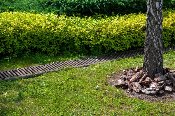 Cost of Residential Landscape Drainage in Dunedin