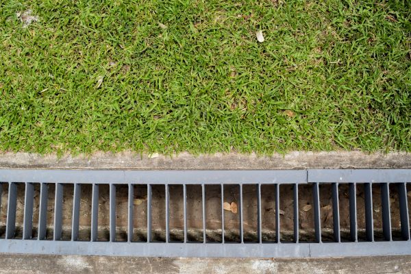 Exterior Drain Replacement in Dunedin