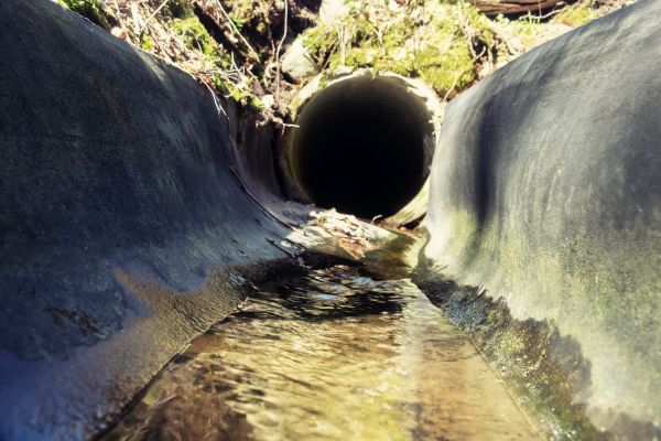 Drainage Swale Installation in Dunedin