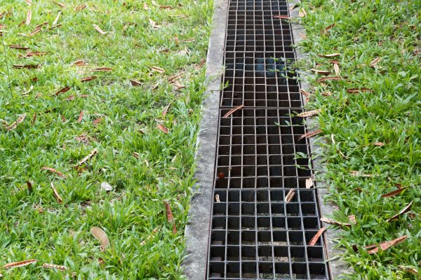 Exterior Drain Repair in Dunedin