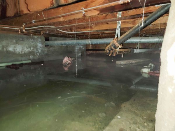 Cost of Crawlspace Drainage in Dunedin