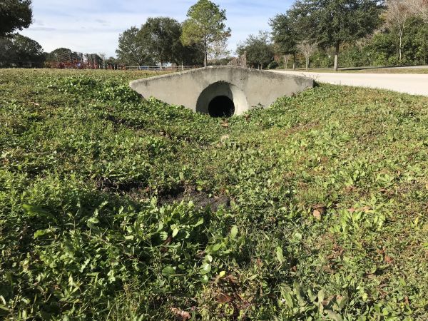 Cost of Swale Drainage Service in Dunedin