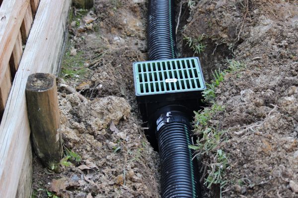 Cost of Drainage Work in Dunedin