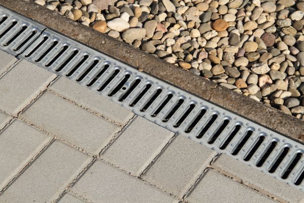 Cost of Drainage Line Replacement in Dunedin